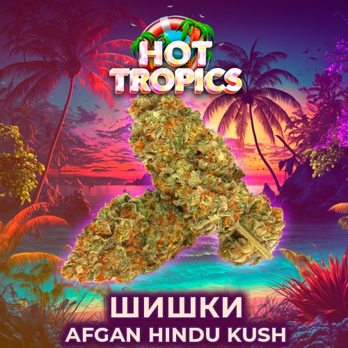 купить бошки шишки афган куш